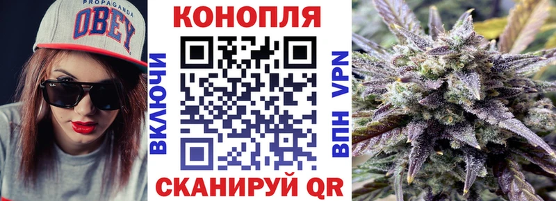 сколько стоит  Ногинск  Каннабис MAZAR 